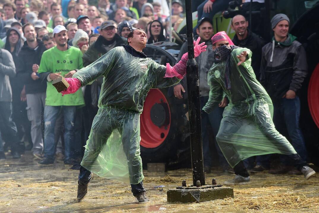 Briuselyje protestavo žemdirbiai