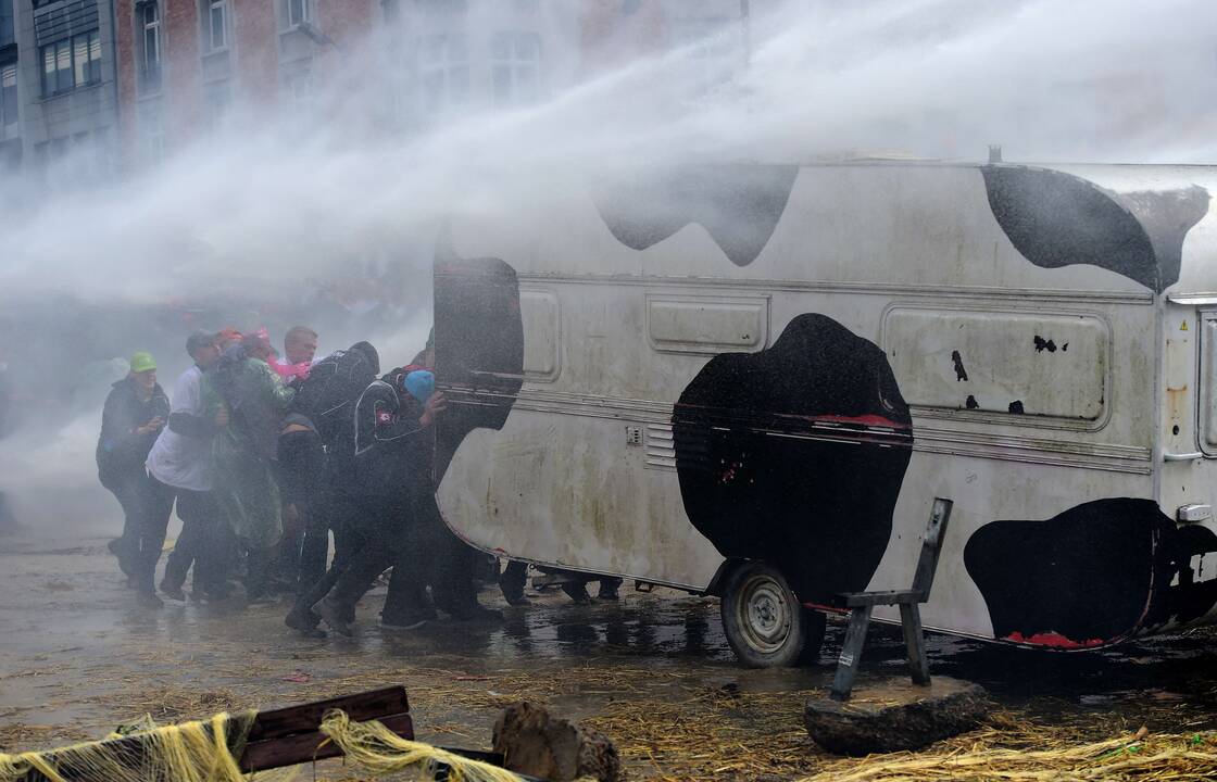 Briuselyje protestavo žemdirbiai