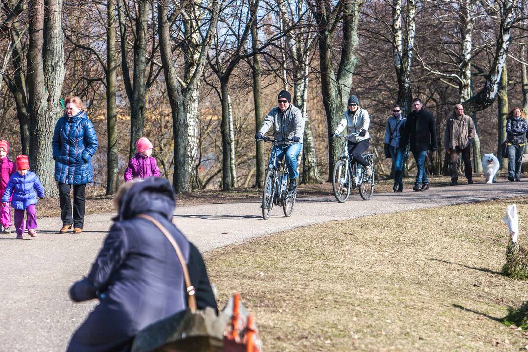 Kauniečiai suskubo į gamtą