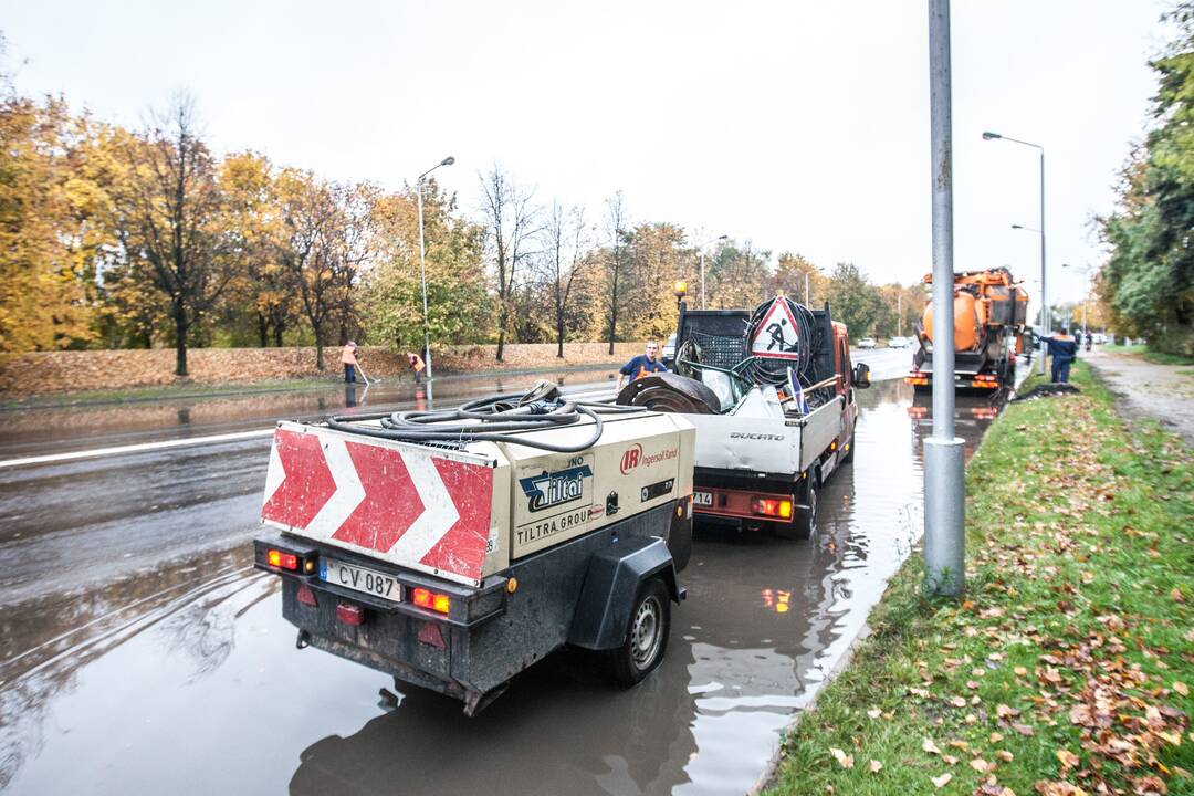 Patvinusios Kauno gatvės