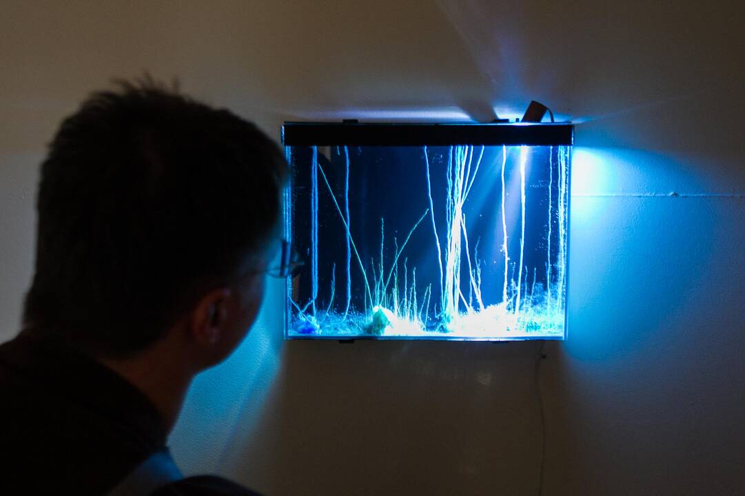 Prasidėjo Kauno bienalė