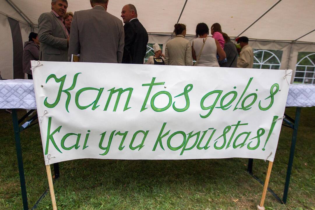 „Rudens sambariai 2015“