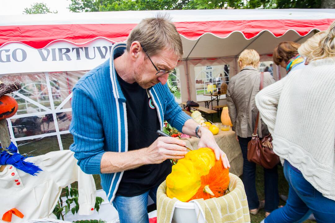 „Rudens sambariai 2015“
