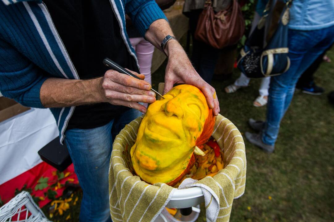 „Rudens sambariai 2015“