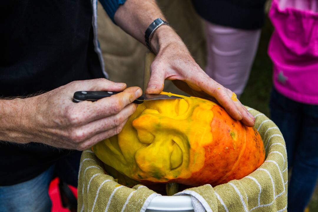 „Rudens sambariai 2015“