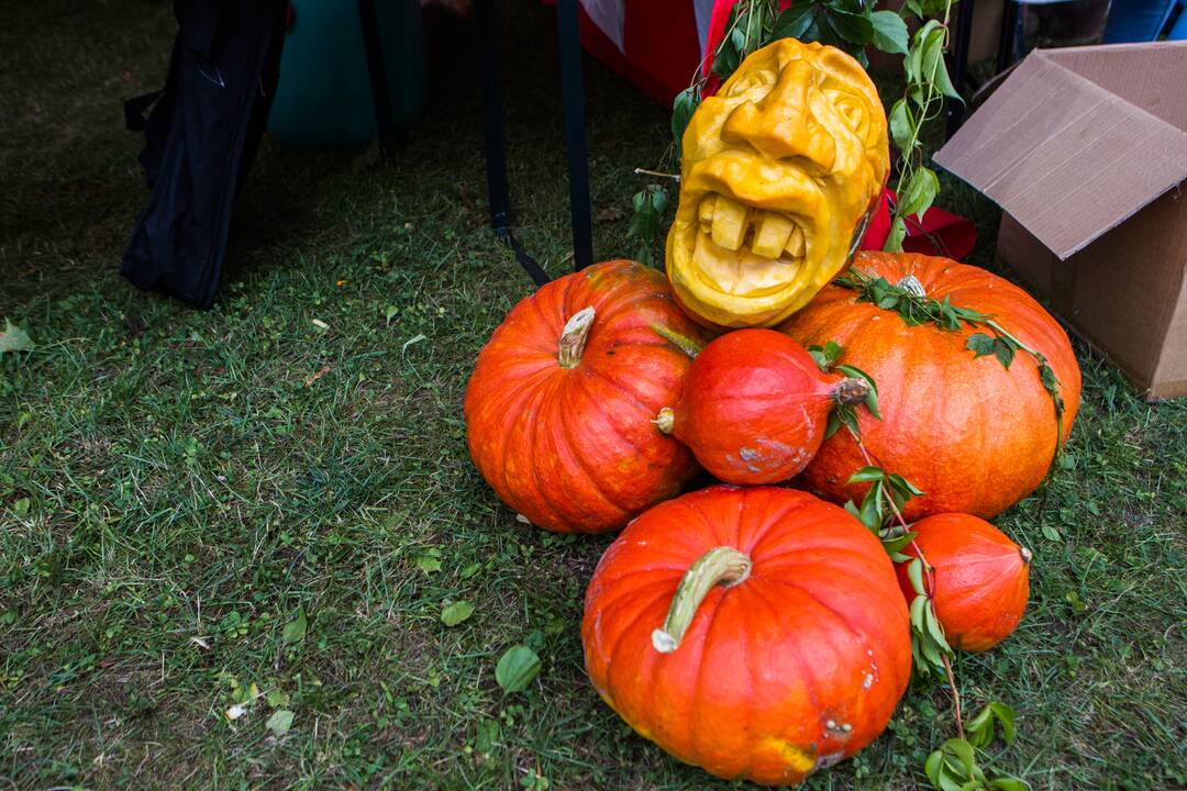 „Rudens sambariai 2015“