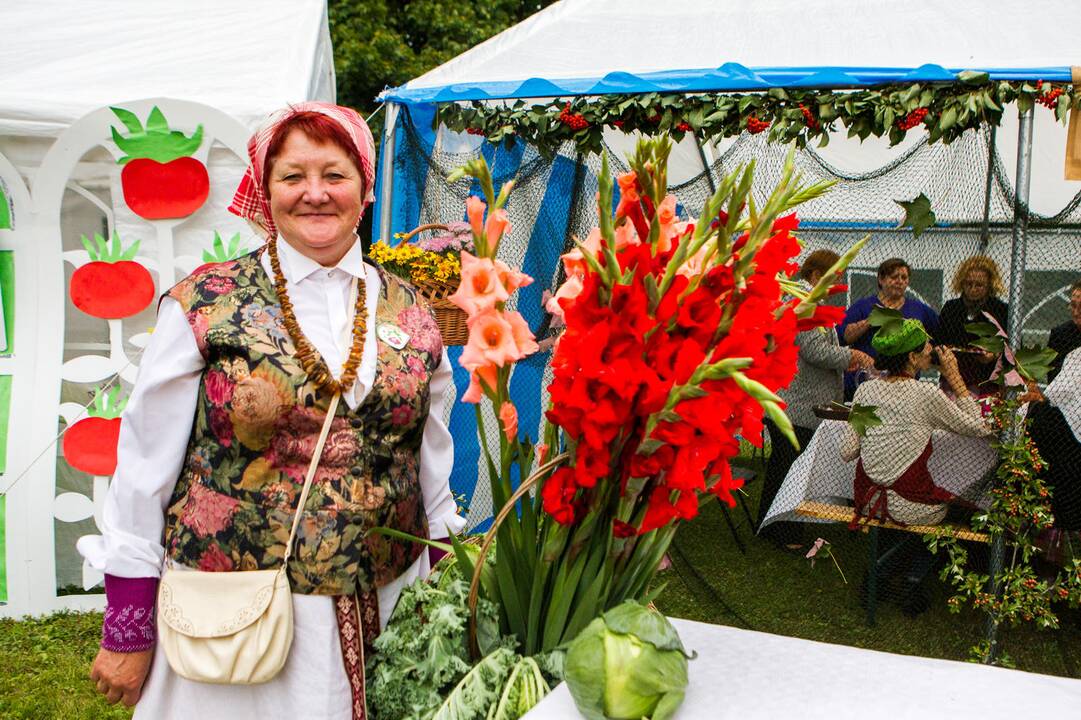 „Rudens sambariai 2015“