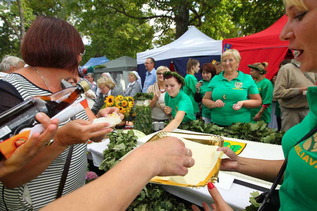 Rudens sambariai 2014