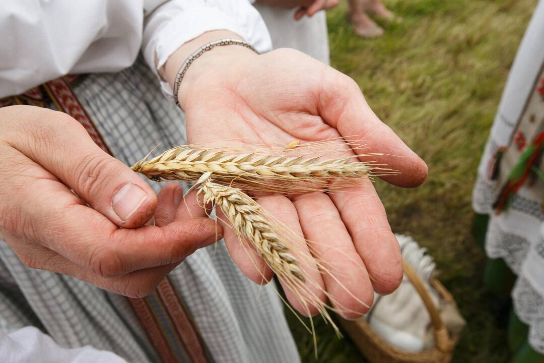 Naujo derliaus ir Onų vardinės Rumšiškėse