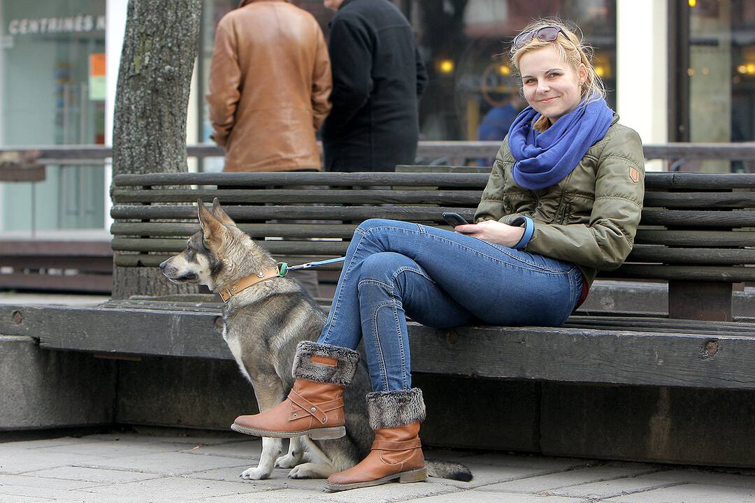 Kauno šunys ir jų šeimininkai 