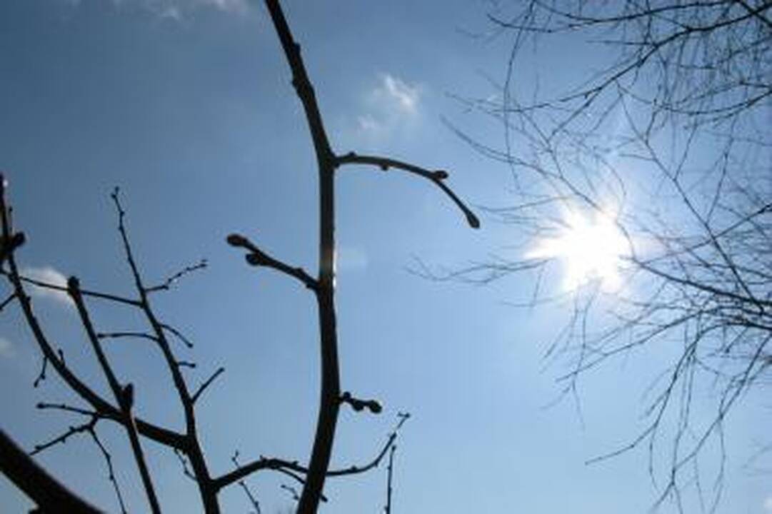 Gatvių plauti ir laistyti neskuba