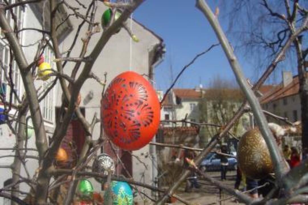 Atvelykis: kiaušinių ridenimui Klaipėdoje prireiks net kopėčių