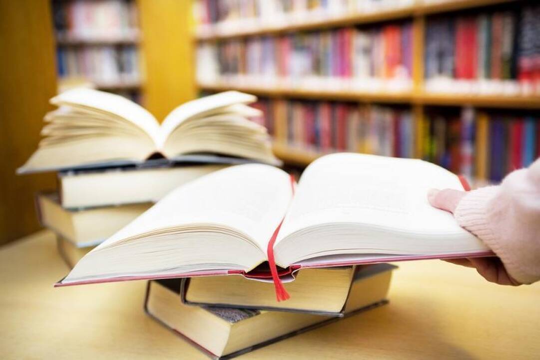 Gonkūrų premija įvertintas J. Ferrari romanas