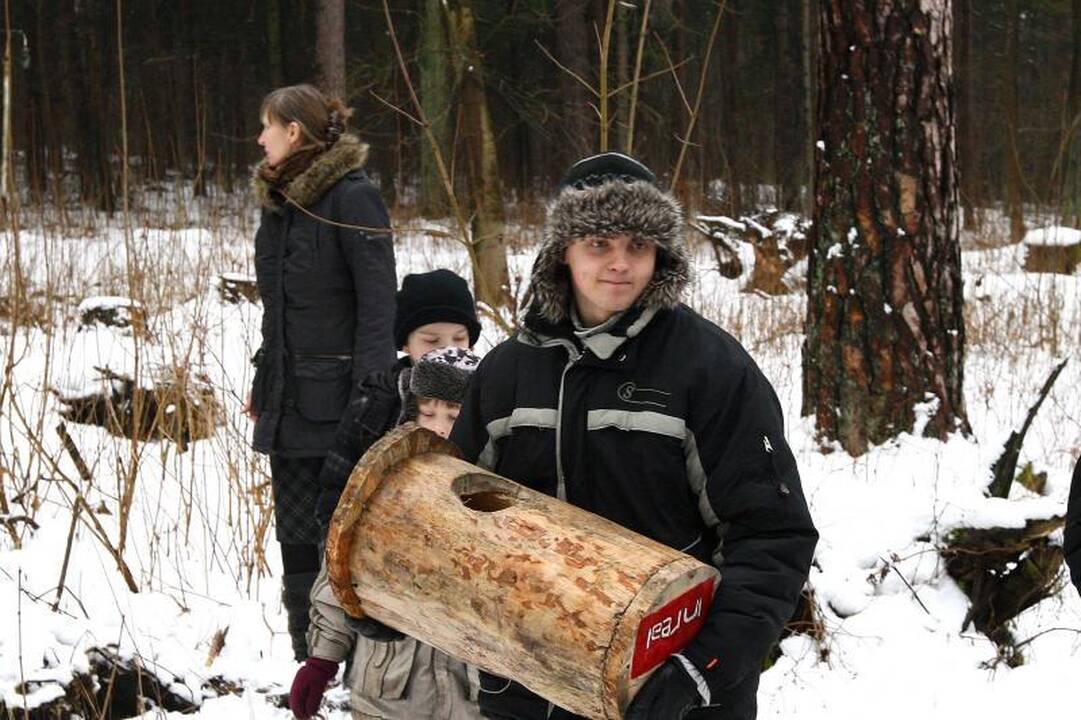 Naujuose inkiluose Panemunės šile apsigyvens trys pelėdų šeimynos