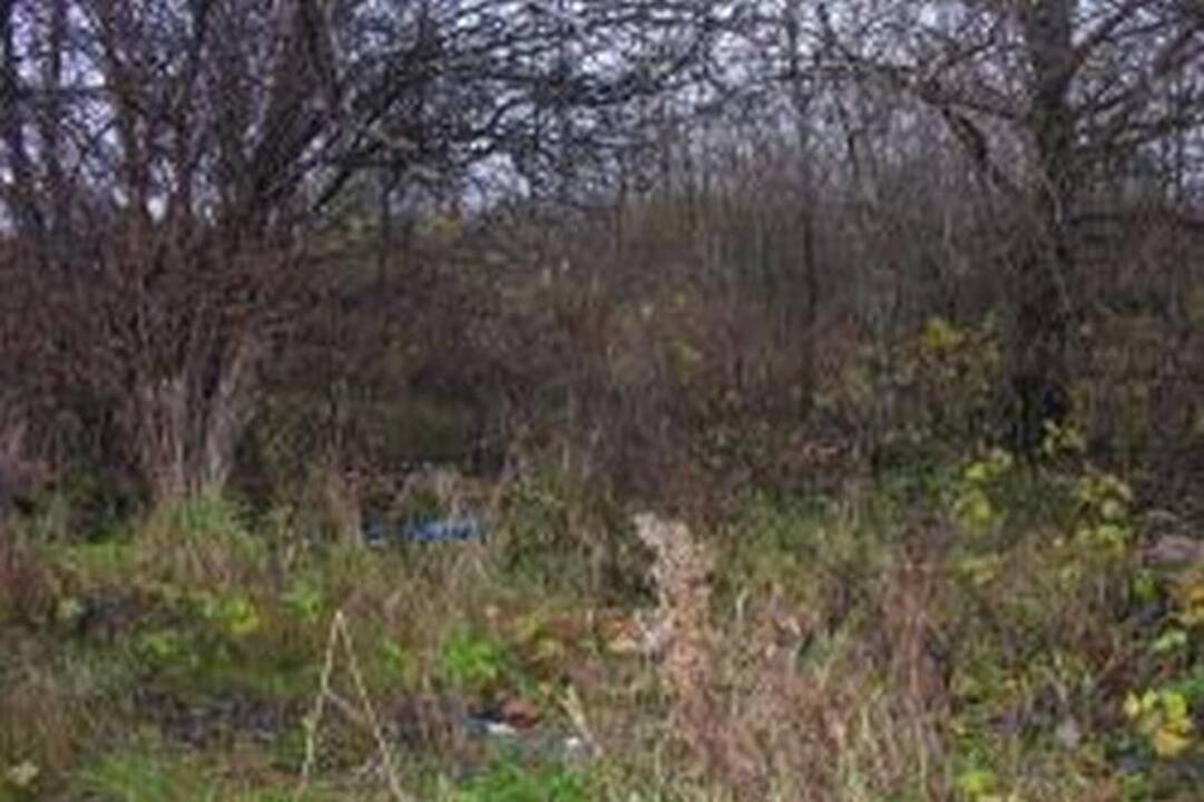 Klaipėdoje - benamių meilės trikampyje nužudyta moteris (atnaujinta) 