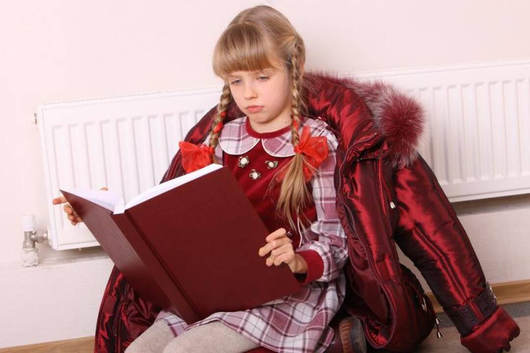 Kainų komisija siūlo atsisakyti dvigubos paramos šilumos gamintojams
