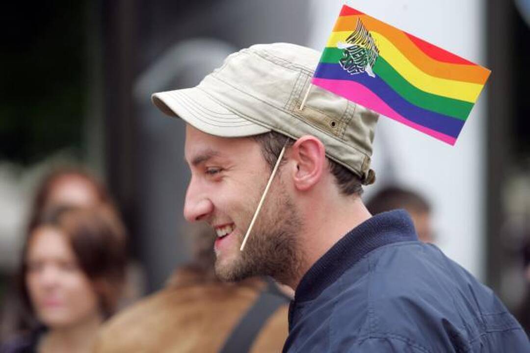 Lietuvos homoseksualai stoja į kovą prieš homofobiją