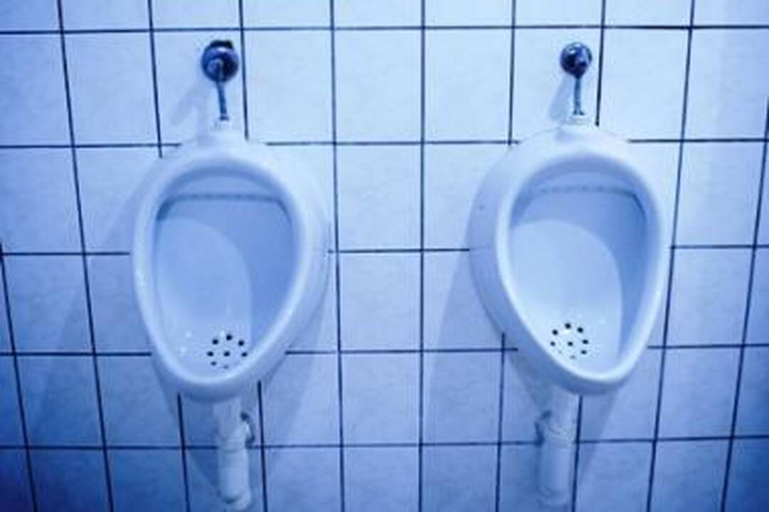 Nori į tualetą? Litas!