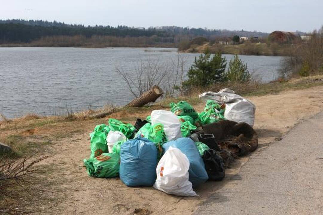 Tarp šiukšlių – vestuvių nuotraukų albumas