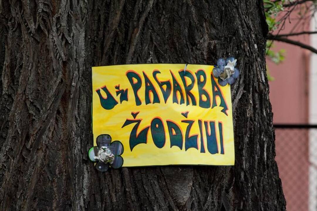 Kviečiama iš arčiau susipažinti su daugiakalbyste