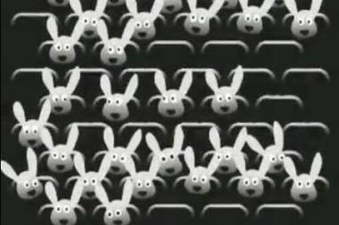 Apdovanoti „Pravda 1 minutė“ filmų kūrėjai