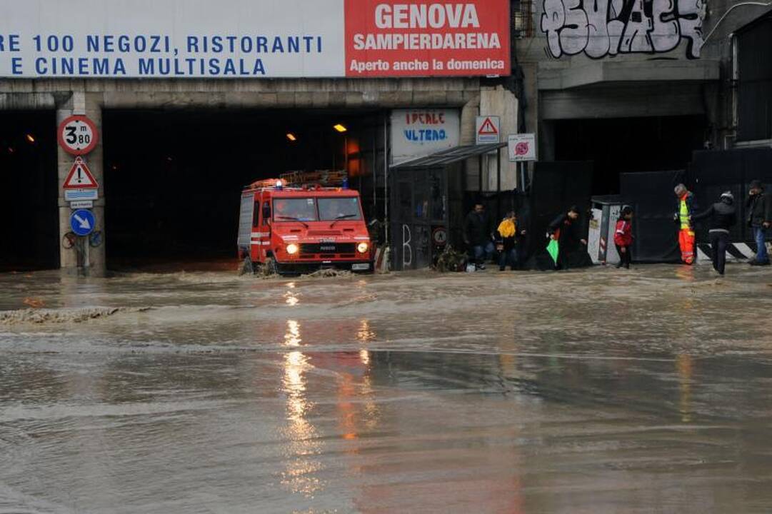 Liūtis Genujoje nusinešė šešias gyvybes 