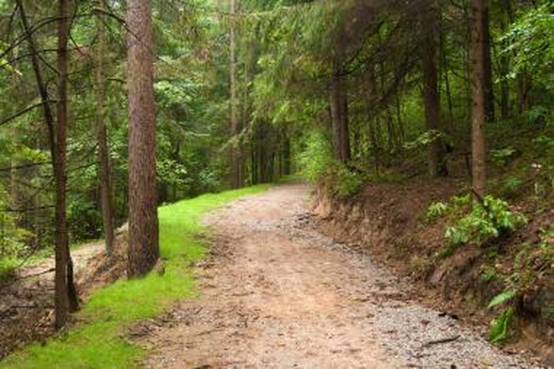 Po rudenėjantį Verkių parką - dviračiais ir pėsčiomis