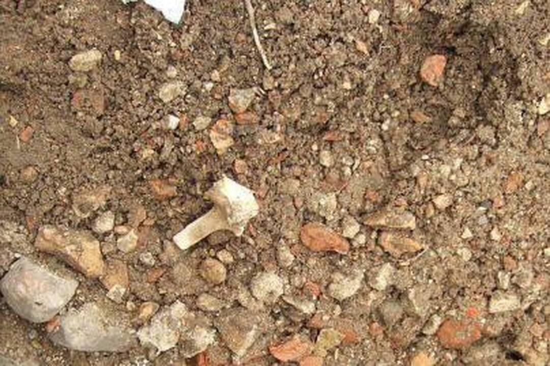 Šiauliuose ežere rastas žmogaus skeletas