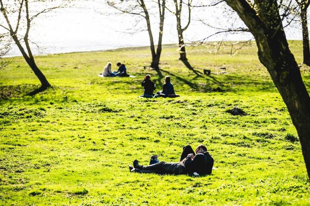 Savaitės viduryje šils iki 26 laipsnių, tačiau gali palyti