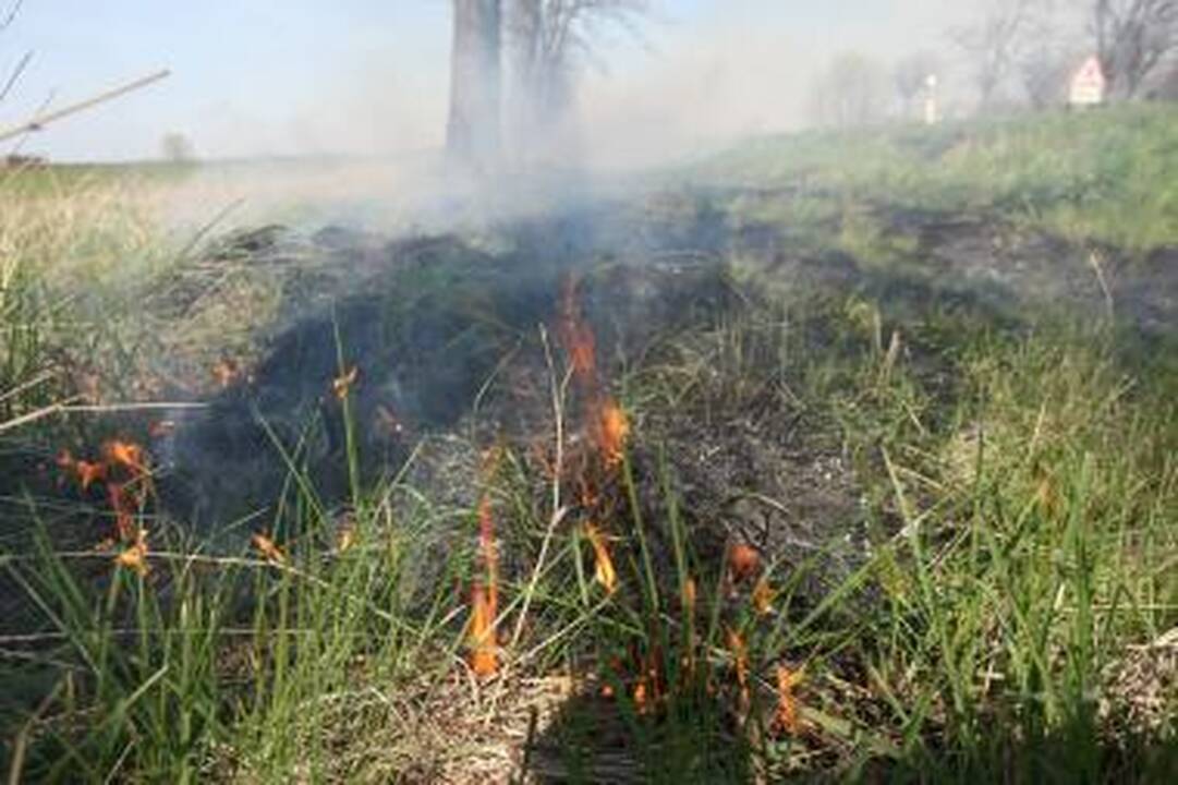 Nuo deginamos žolės užsiliepsnojo ir pastatai
