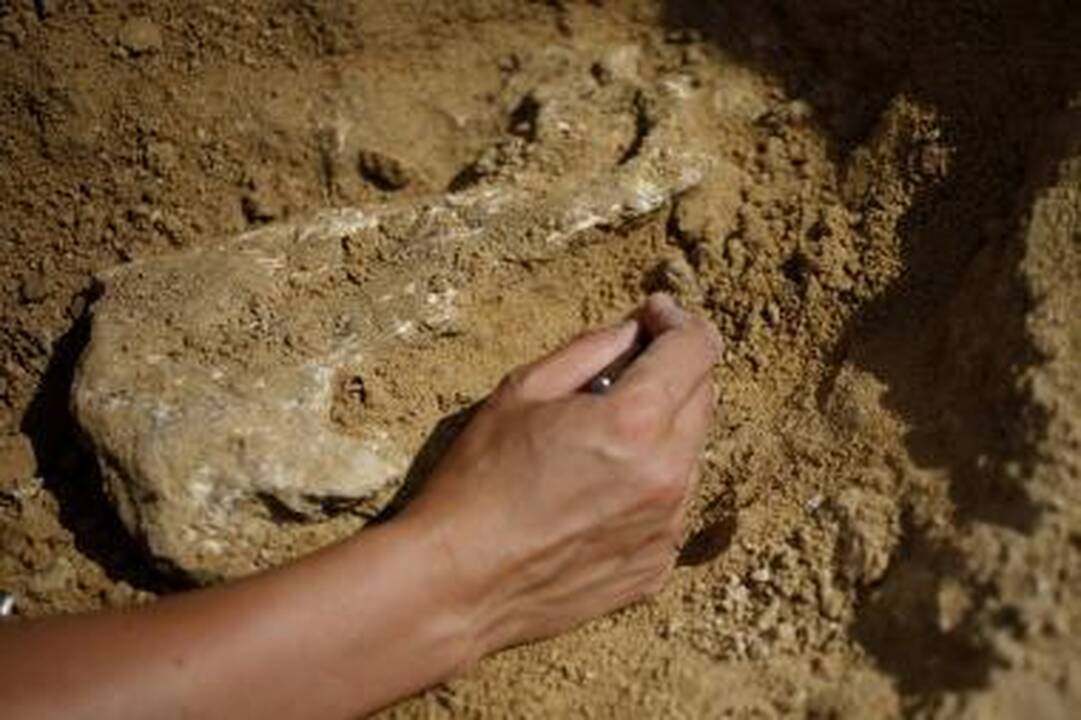 Kasybos pramonę nuo kitų metų ketinama apmokestinti didesniais mokesčiais