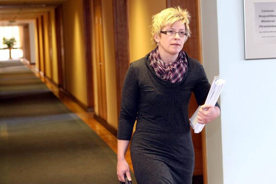 Buvę finansų ministrai: eurą galime įsivesti anksčiau nei 2015 m.