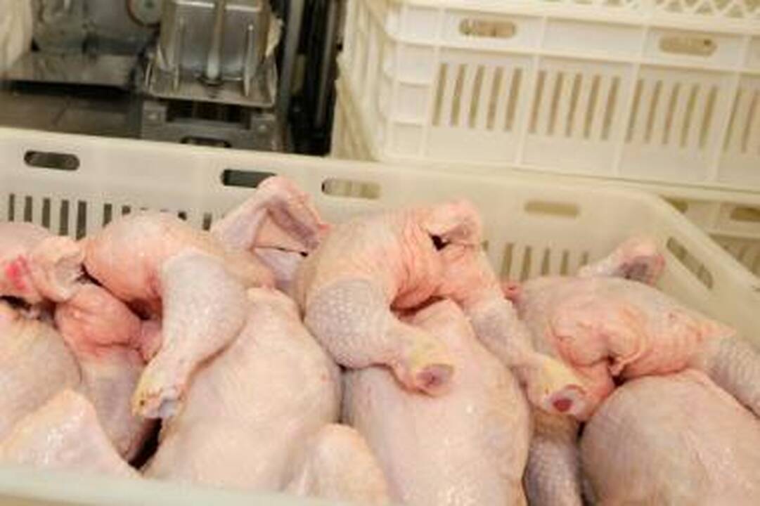 "Sanitex" atvežtoje paukštienoje - salmonelės