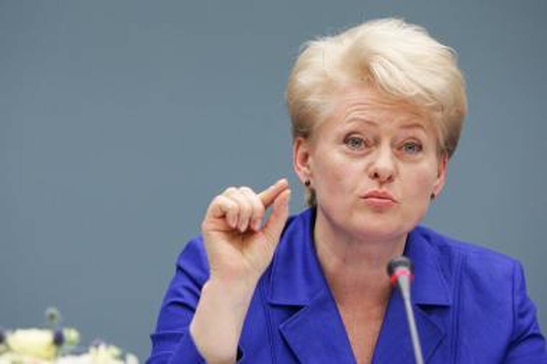 D.Grybauskaitė: vaivorykštė - ir gamtoje, ir politikoje trapus reiškinys