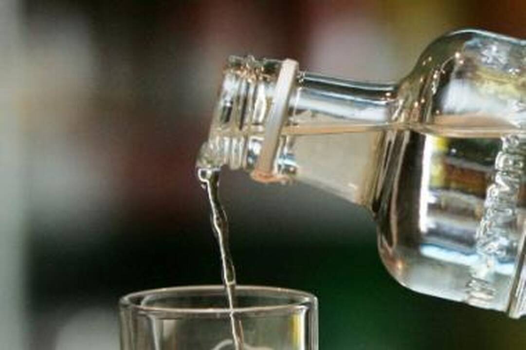 Naminukės gamintojus išdavė kaimynai