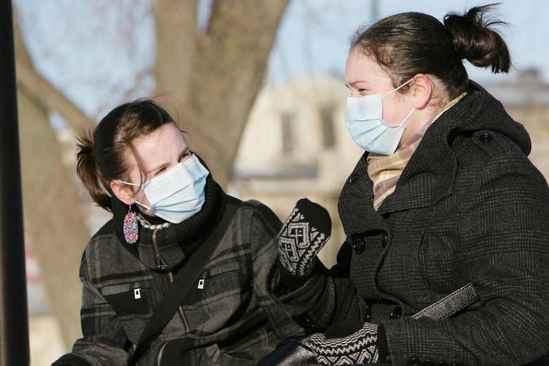 Apžiūrėti kačių plūdo minios