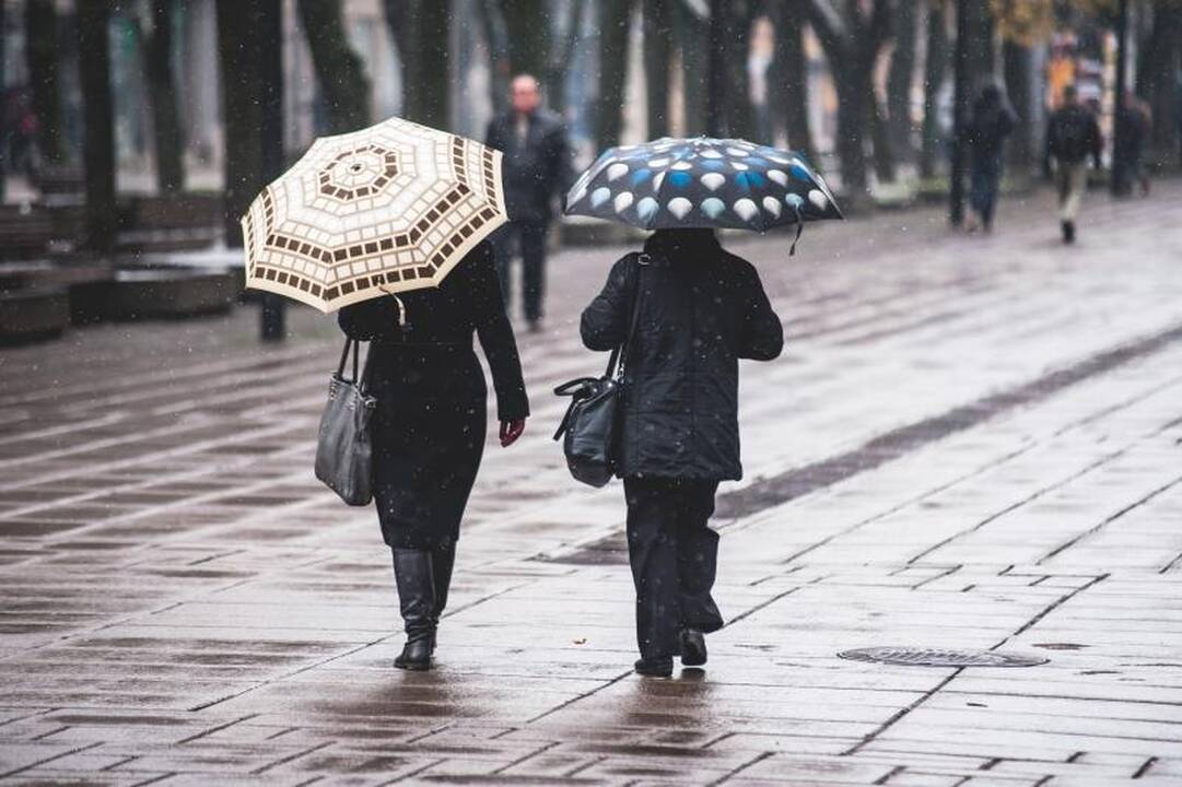 Sniegas         kelininkų     į    Kauno      gatves neišvijo