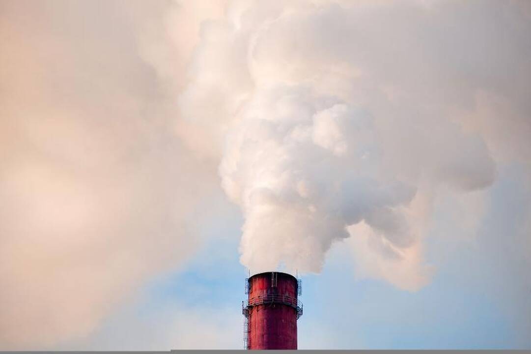 Ištyrus skundžiamą termofikacinę jėgainę, taršos nenustatyta