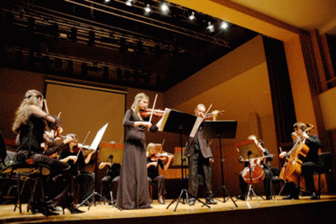 Vaikams – edukacinis projektas "Muzikinė dėlionė"