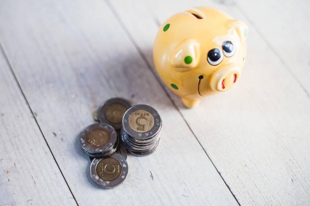 Ekonomistai: Lietuvos žmonės litą myli, tačiau ne bet kokia kaina