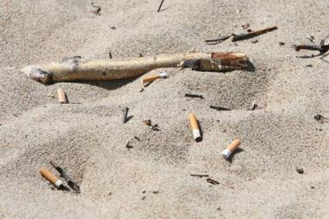 Kinijoje sukurta cigarečių nuorūkų perdirbimo technologija