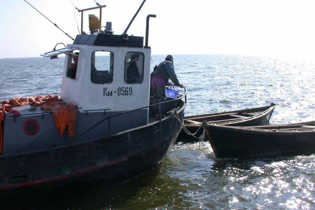 Žvejai nepajėgė išnaudoti išaugusių menkių žvejybos kvotų