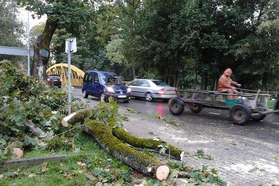Dėl mirtinos nelaimės kaltina Šilutės rajono savivaldybę