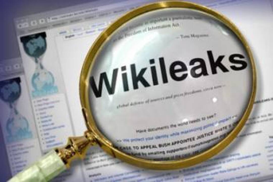 Programišiai atkeršijo už Assange'o ir "WikiLeaks" sąskaitų uždarymą