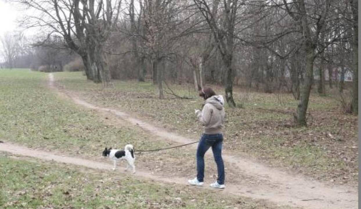 Kapinėse – šunų  vedžiojimo  aikštelė   