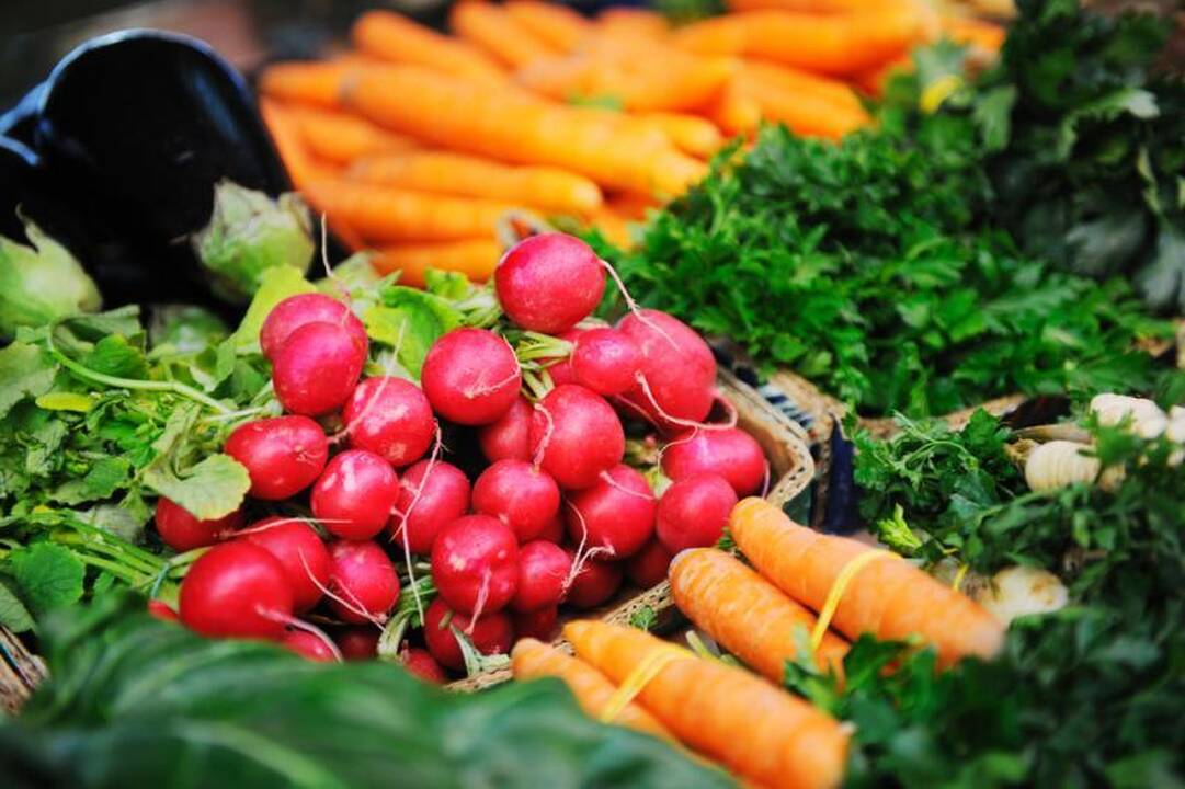 Baigėsi  maisto  turgų  steigimo mada   
