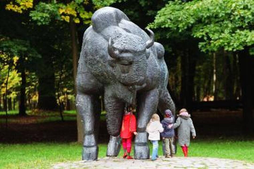 Savivaldybės darbuotojai surinks Ąžuolyno šiukšles