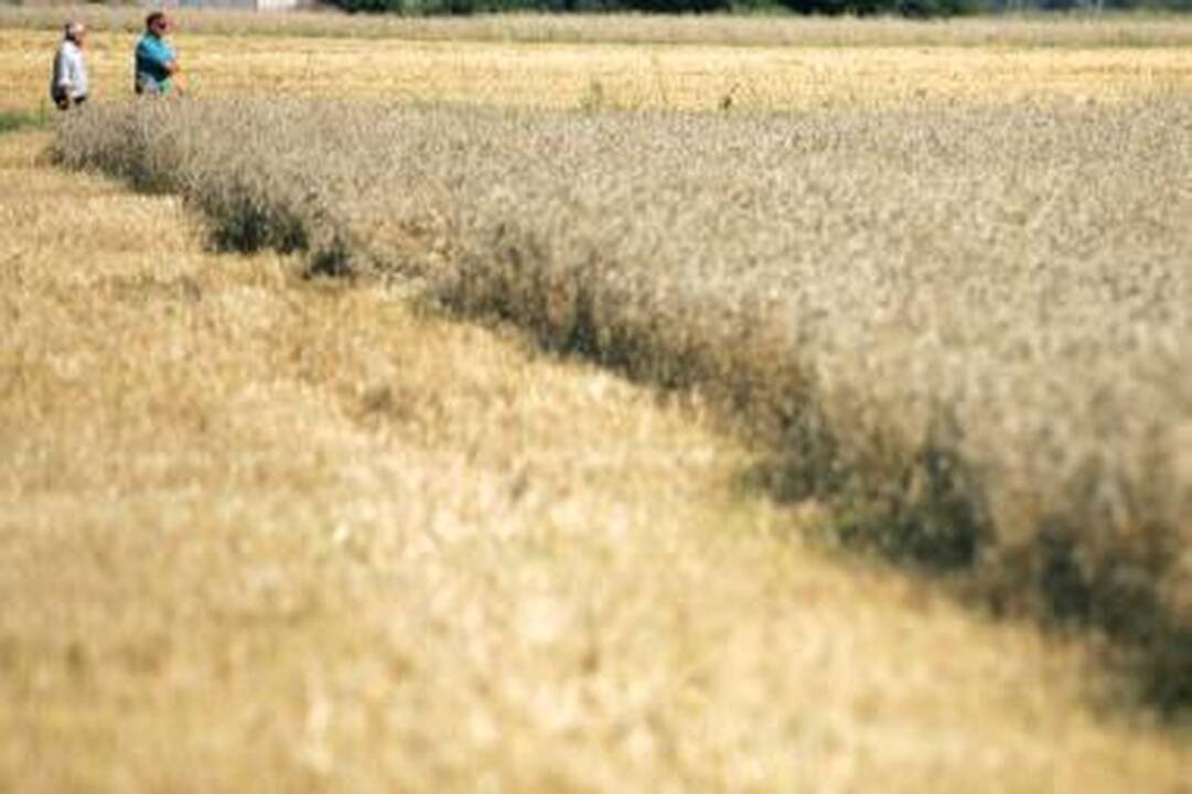 Į Vilnių atvykusi Suzi Quatro tikisi rasti laiko ir apsipirkti