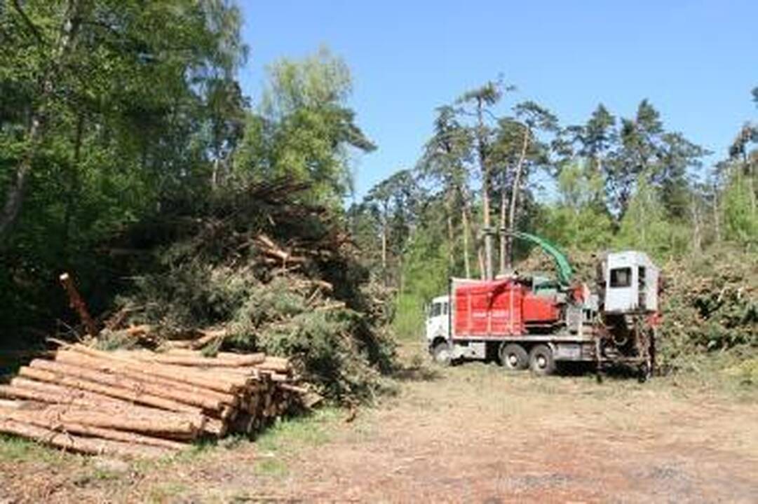Miškovežiai Varėnos rajone gadina vietinius kelius