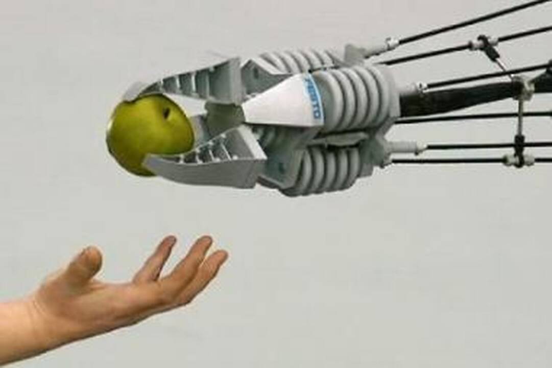 Škotijos karališkojoje ligoninėje bus įdarbinti robotai